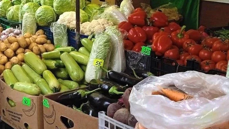 Сплит-система для хранения овощей в Москве: советы по выбору и установке